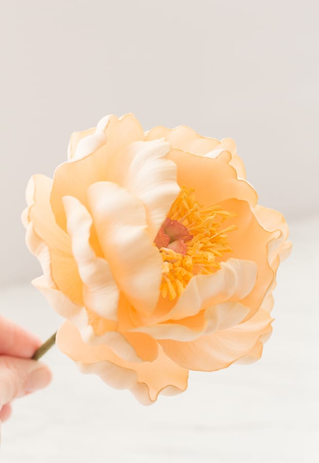 Gum Paste Extra Large Peony Light Pink 6 inches By Garden Sugar Flowers 