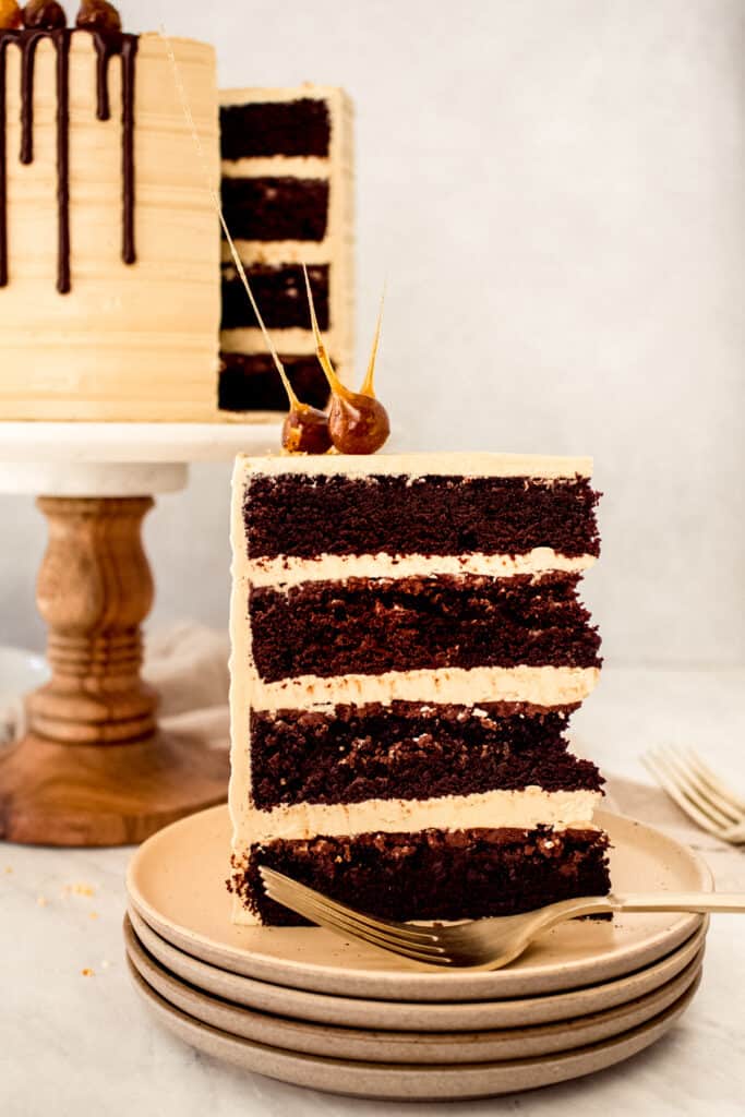 Chocolate hazelnut praline cake