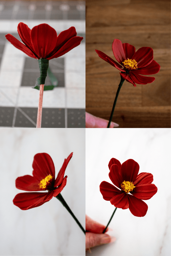 Chocolate Cosmos - Step by Step