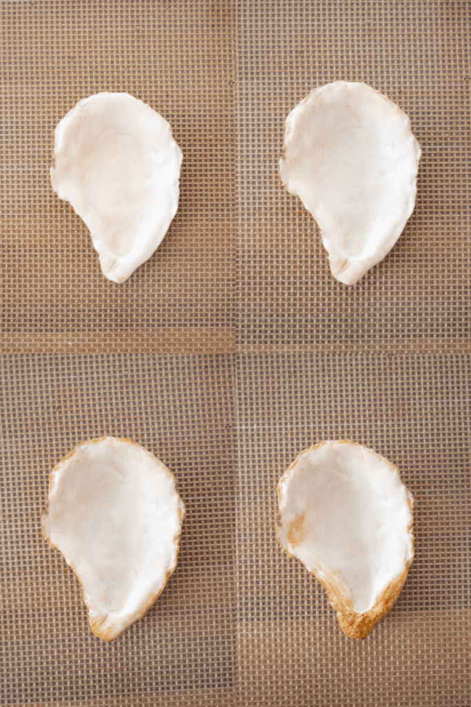 Oyster Shell Tutorial