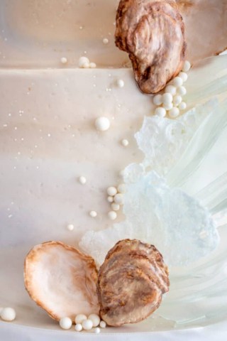 Oyster Shell Tutorial