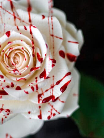 close up of edible fake blood splattered gum paste rose