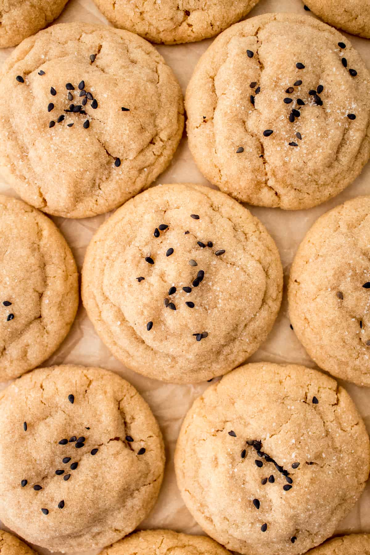 cookies lined up on cookie sheet